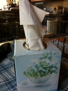 blow Kleenex is good