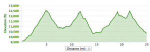4-Pass Loop Elevation Profile